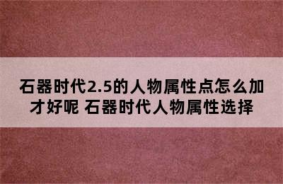 石器时代2.5的人物属性点怎么加才好呢 石器时代人物属性选择